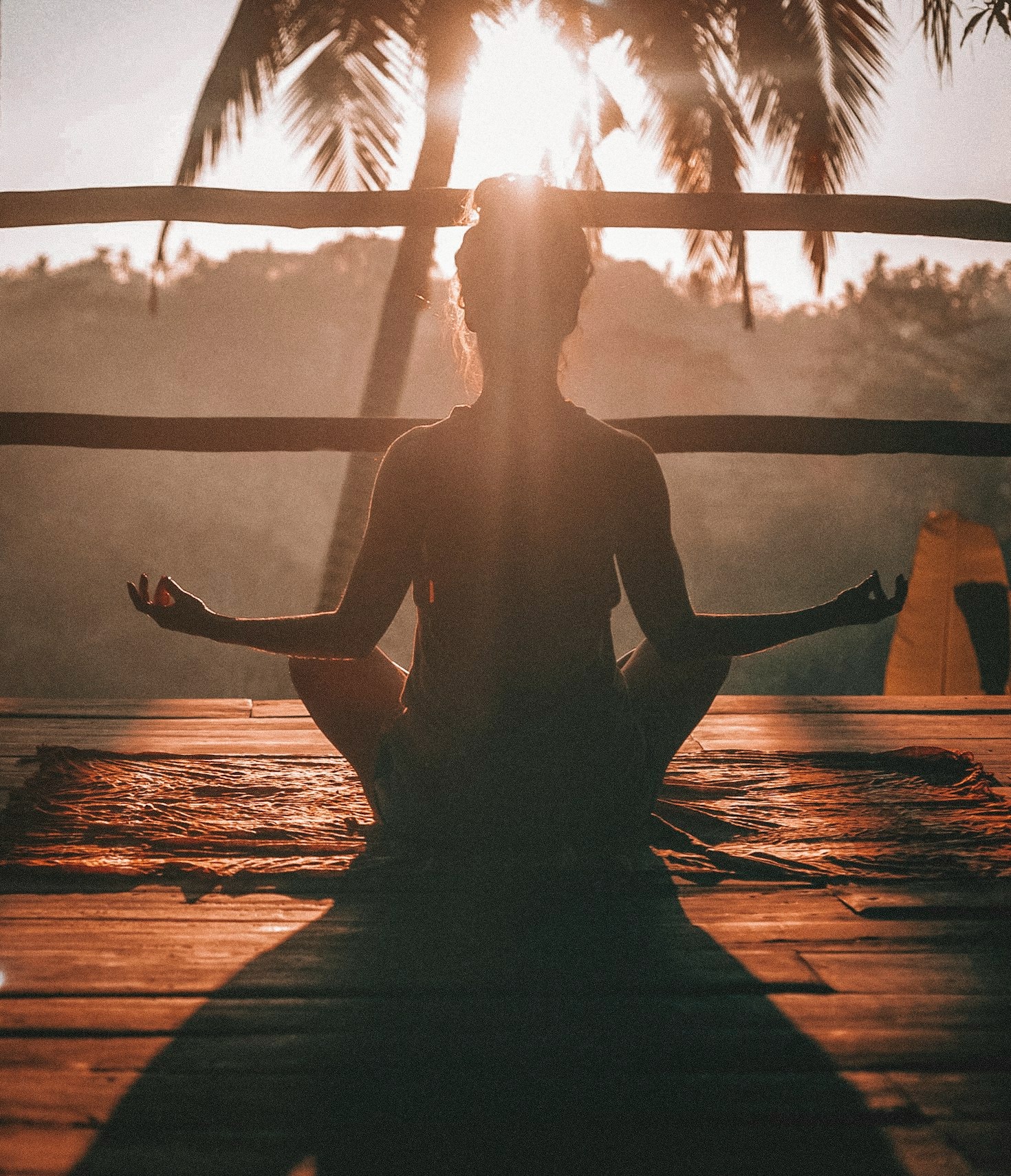 Movement Meditations for Holistic Healing with Cannabis